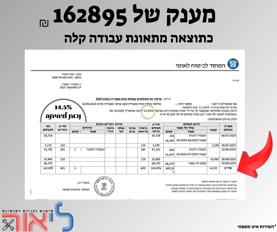 הצלחה 13